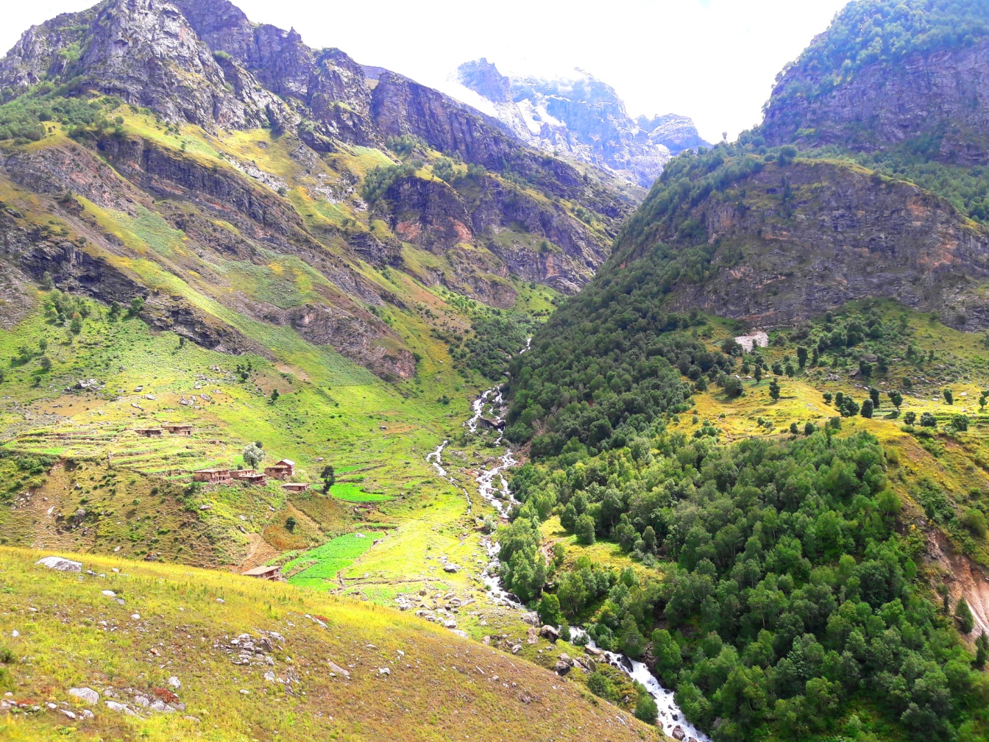 E:\kashmir\Kashmir\Chitaa Khata Lake\20160826_111636.jpg