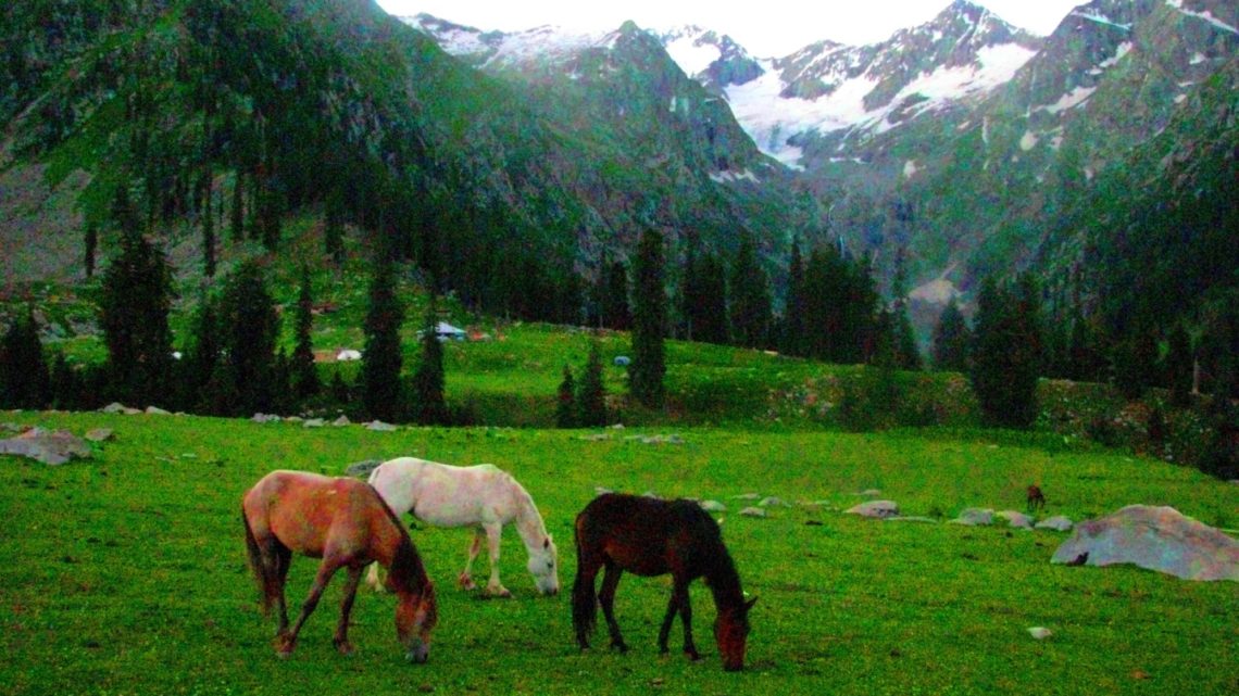 Memories of Jazbanda, Katora Lake and Kumrat Valley (Part 2)