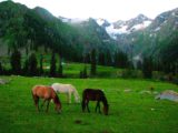 Memories of Jazbanda, Katora Lake and Kumrat Valley (Part 2)